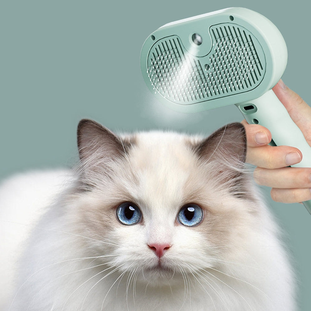 SteamBrush™ - Steam Massage Brush